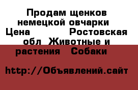 Продам щенков немецкой овчарки › Цена ­ 5 000 - Ростовская обл. Животные и растения » Собаки   